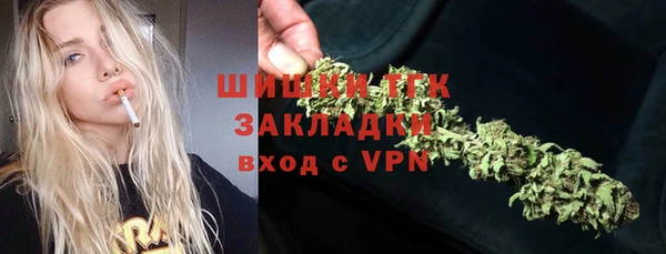 тгк Алзамай
