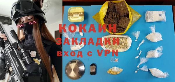 тгк Алзамай